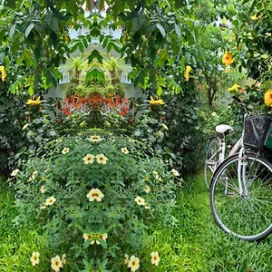  Homestay Star Garden