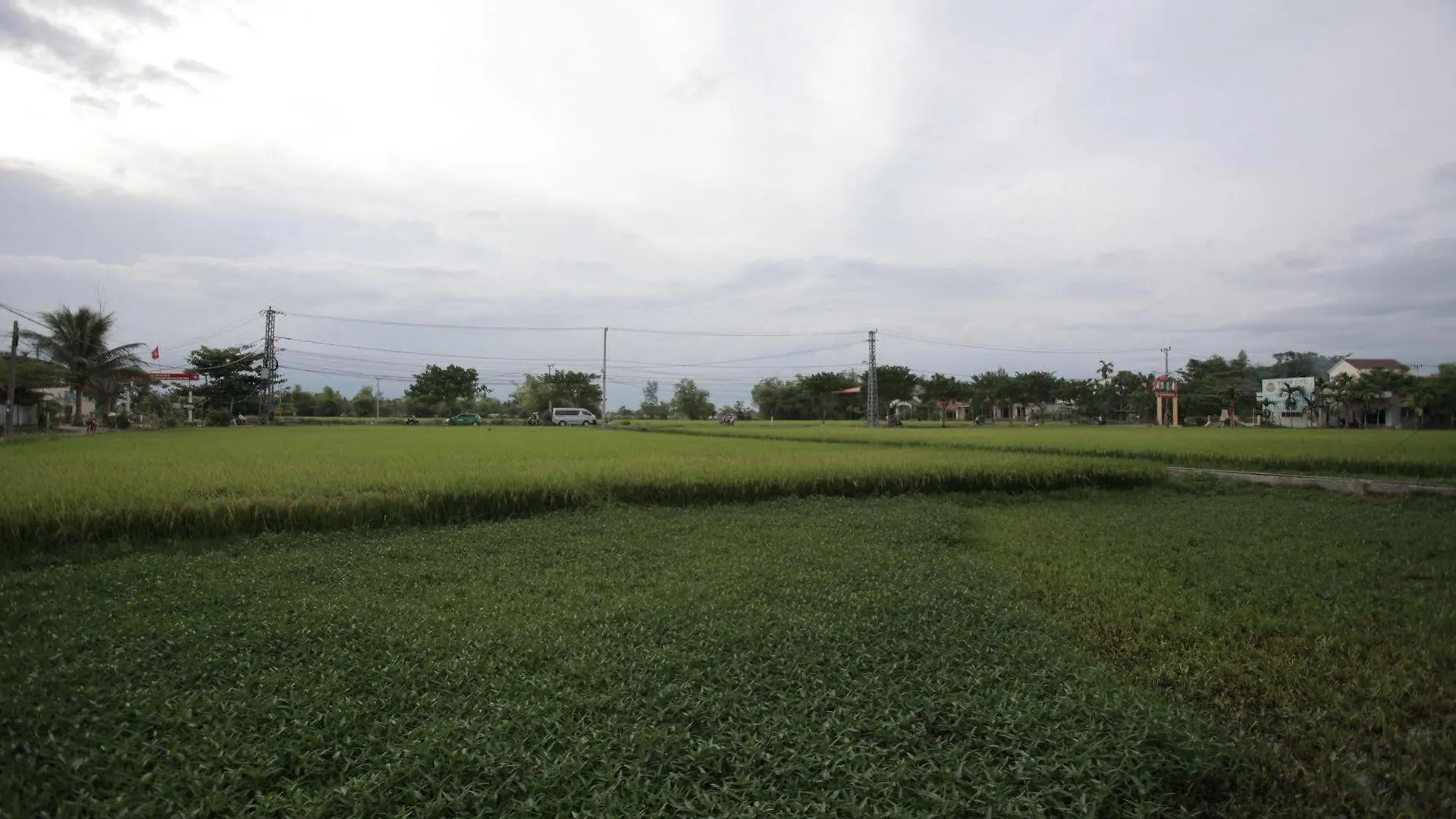 Rice Flower Homestay Hoi An Vietnam