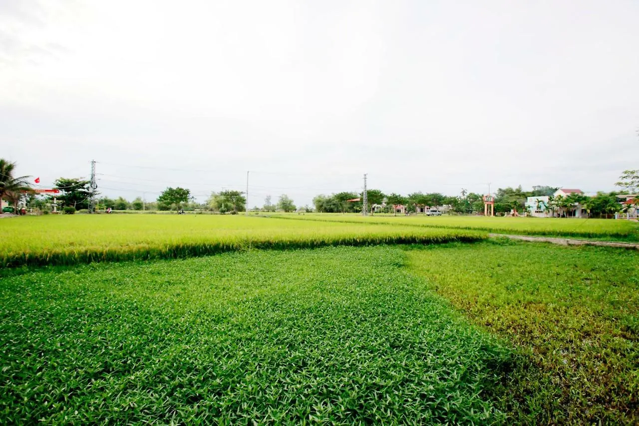 Rice Flower Homestay Hoi An 0*,